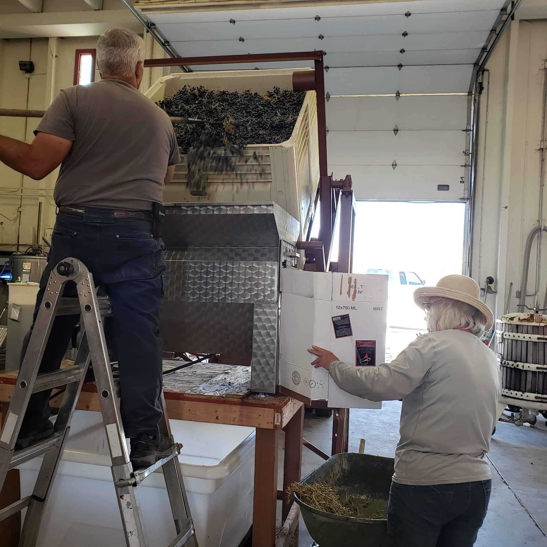 Chavez Brothers Vineyard and Winery Making Wine